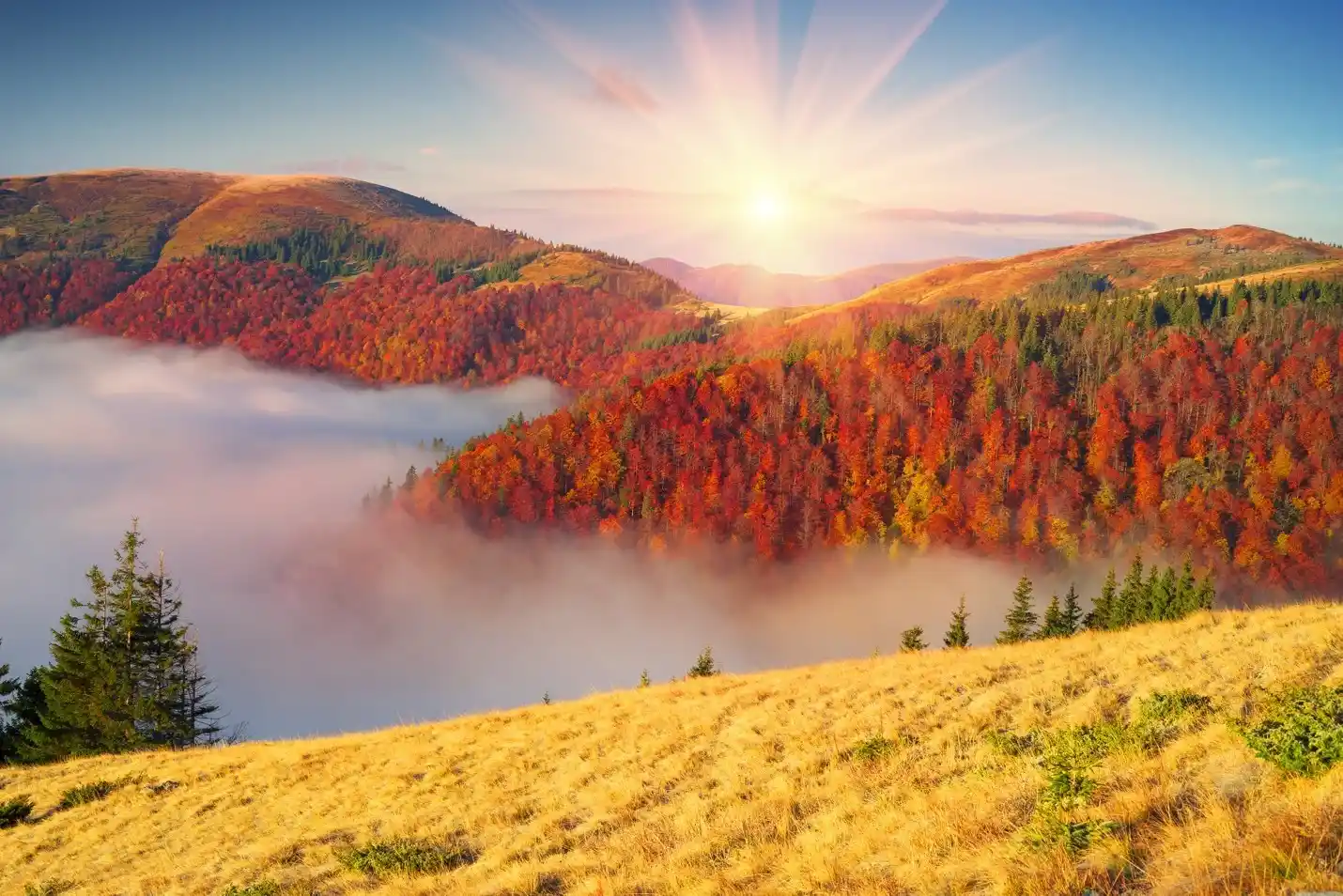 great-smoky-mountains-national-park-fall-foliage