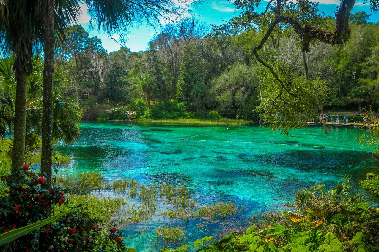 Florida nature