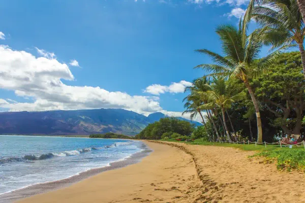 27 Top Things To Do In Hawaii
