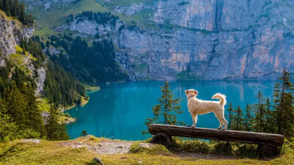 Switzerland's Lakes: Nature's Masterpieces Waiting to Be Explored