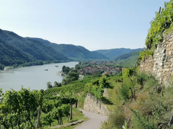 Explore the Enchanting Wachau Valley: Austria's UNESCO World Heritage Gem